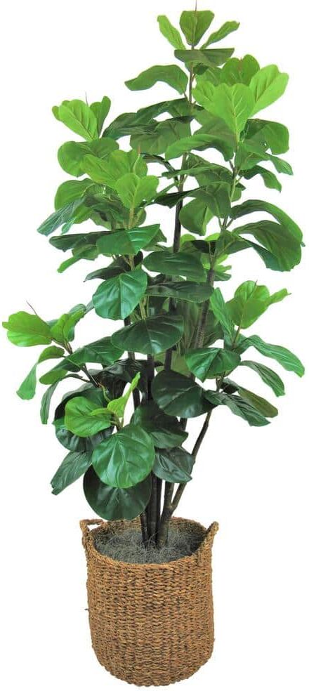 LCG SALES INC Artificial 5.6-foot Fiddle Leaf Fig Tree in Basket