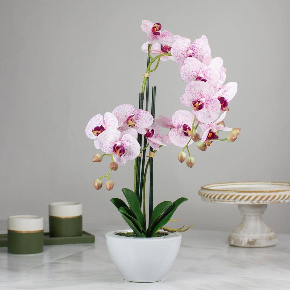 Northlight 21 in. Pink and White Artificial Orchid Plant in a White Pot