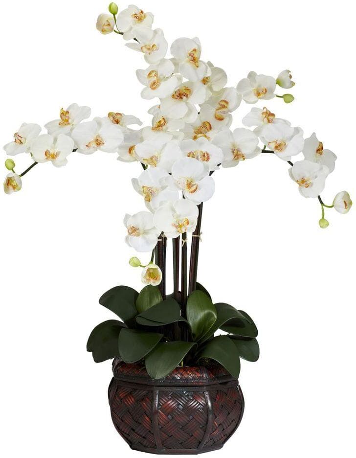 Nearly Natural 31 in. Artificial H Cream Phalaenopsis with Decorative Vase Silk Flower Arrangement