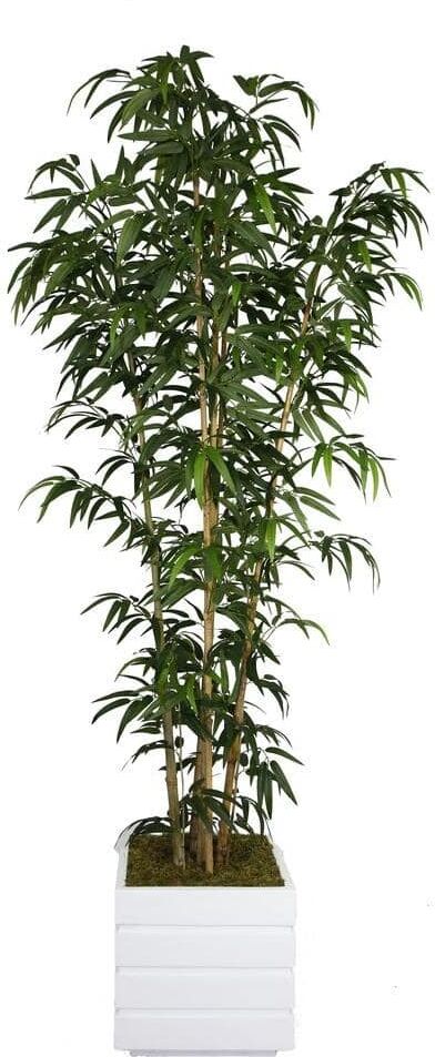 VINTAGE HOME 78 in. Tall Natural Bamboo Tree in 14 in. Fiberstone Planter