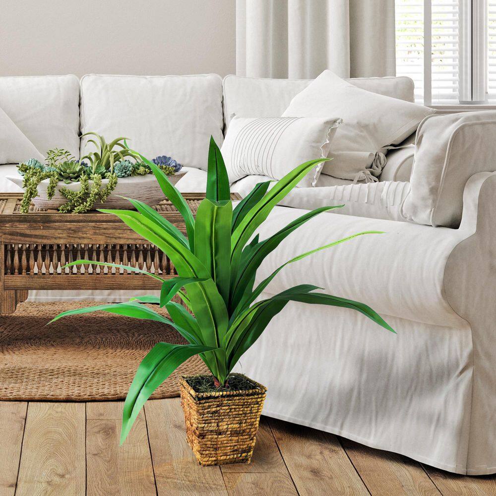 LCG SALES 34-Inch Dracaena in Square Basket