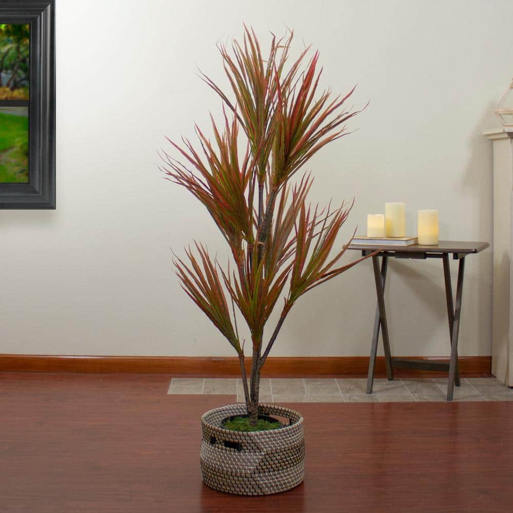 Northlight 55" Green and Red Artificial Dracaena Potted Plant