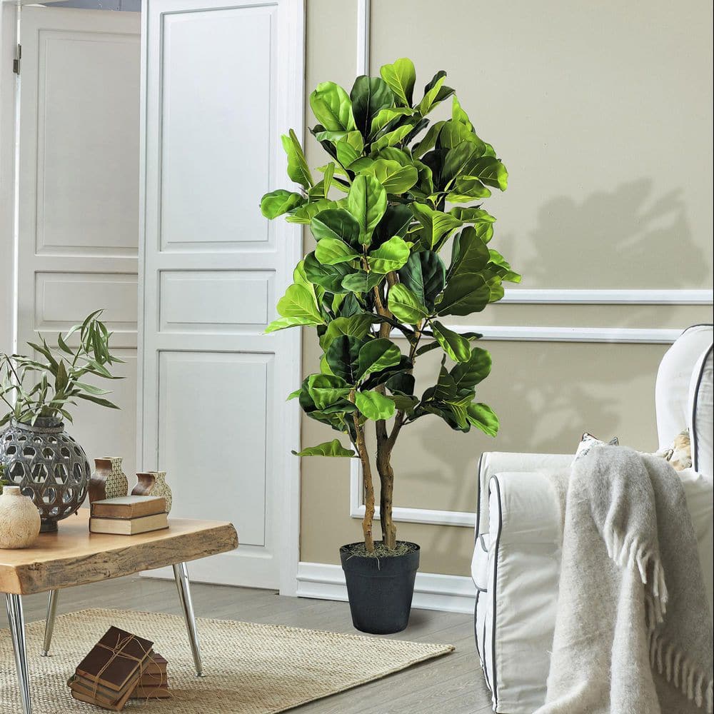 LCG SALES INC 6 ft. Fig Tree in Plastic Pot