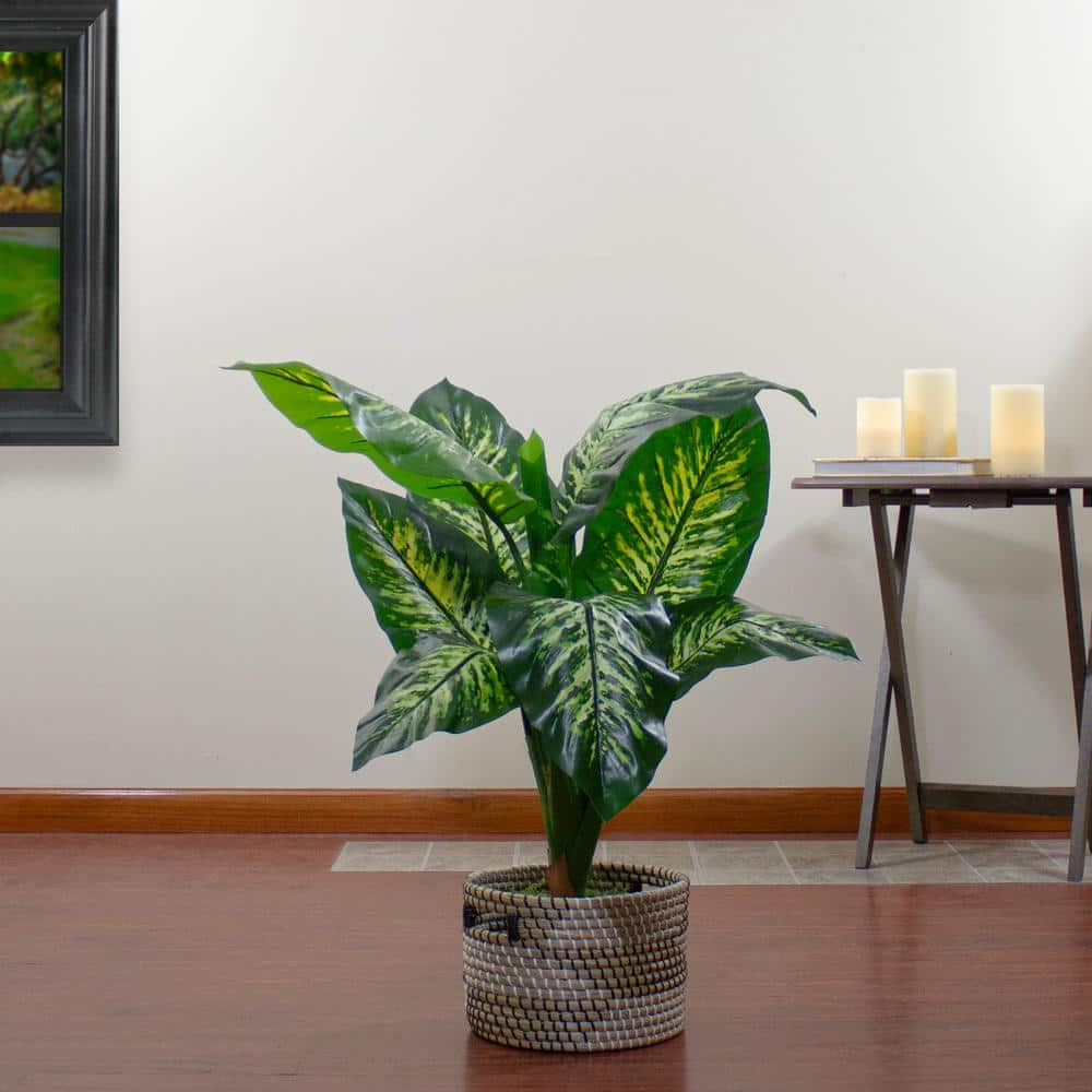 Northlight 36" Artificial Green and Ivory Variegated Leaf Dieffenbachia Potted Plant