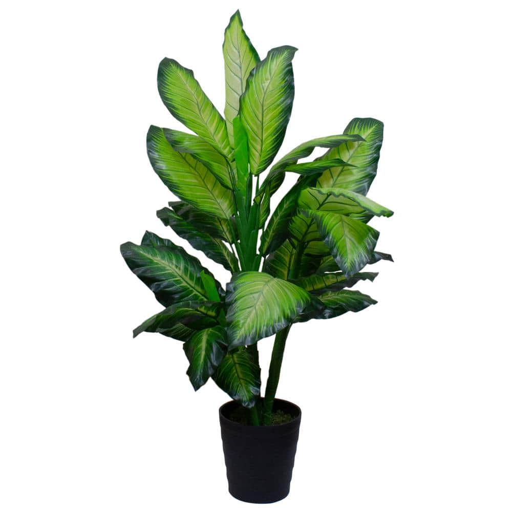 Northlight 50 in. Artificial Wide Leaf Green Dieffenbachia Potted Plant