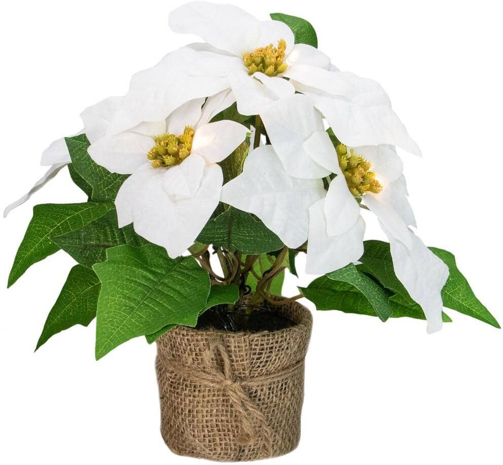 Northlight 11 in. LED Artificial White Poinsettia Potted Plant with Burlap Base- Clear Lights