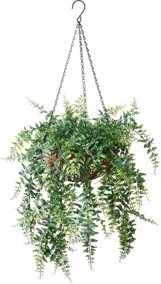 National Tree Company 21 in. Artificial Hanging Basket with Fern Leaves