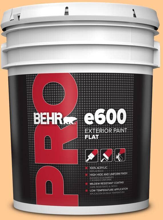 BEHR PRO 5 gal. #280B-4 Apricot Light Flat Exterior Paint