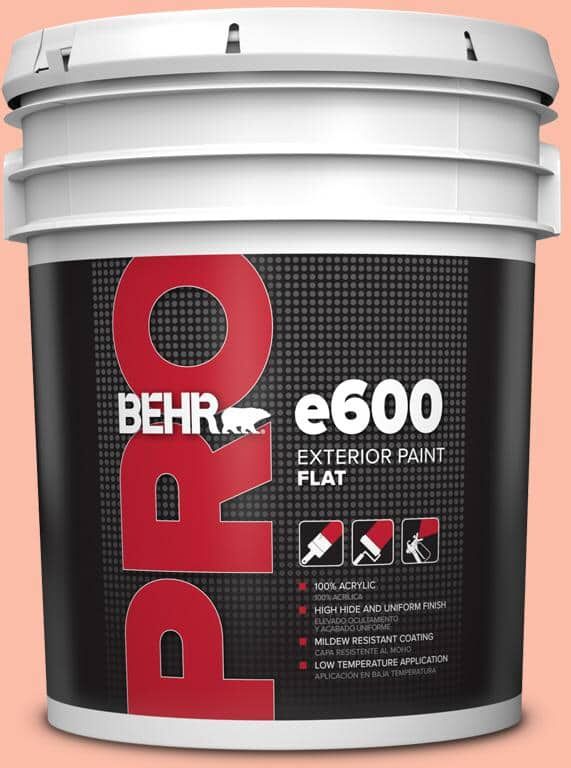 BEHR PRO 5 gal. #200A-3 Blushing Apricot Flat Exterior Paint