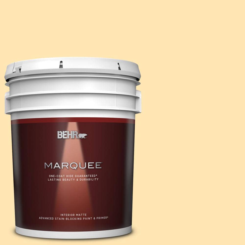 BEHR MARQUEE 5 gal. #P260-3 Vanilla Ice Cream Matte Interior Paint & Primer