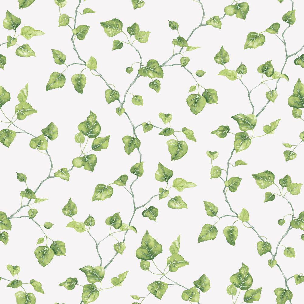 Just Ivy Green/White Matte Finish Vinyl on Non-Woven Non-Pasted Wallpaper Roll