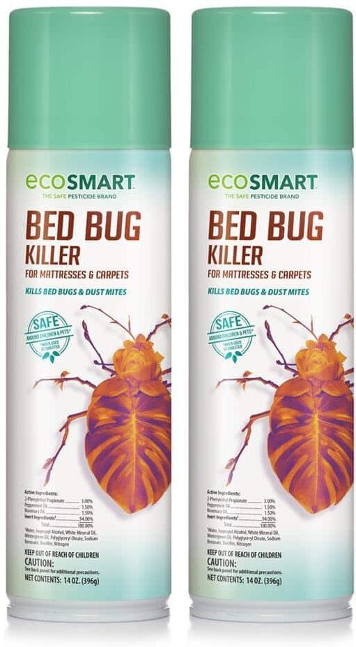 EcoSmart 14 oz. Natural Bed Bug Killer with Plant-Based Peppermint and Rosemary Oil, Aerosol Spray Can (2-Pack)