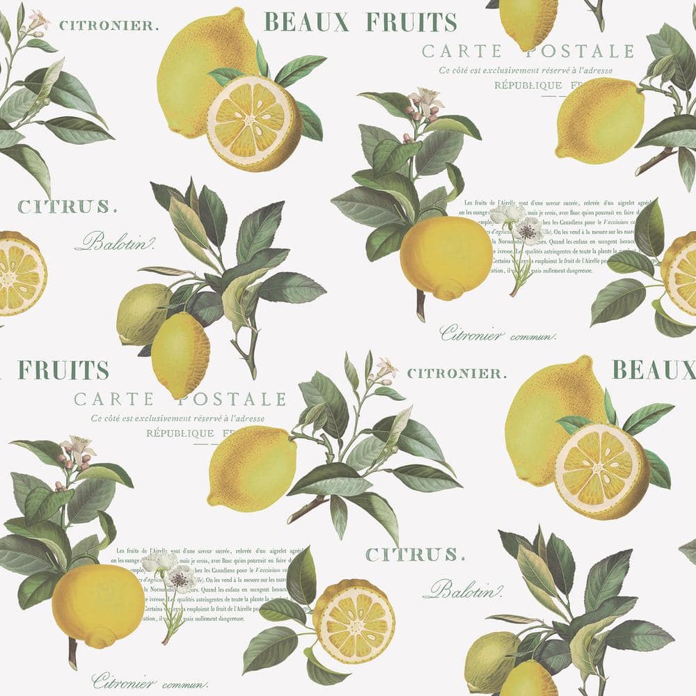 Citron Botanical Yellow/Green/White Matte Finish Vinyl on Non-Woven Non-Pasted Wallpaper Roll