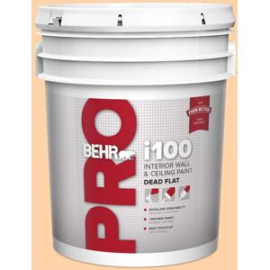 BEHR PRO 5 gal. #P220-3 Tropical Fruit Dead Flat Interior Paint