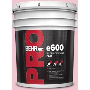 BEHR PRO 5 gal. #P140-2 Sweetheart Flat Exterior Paint