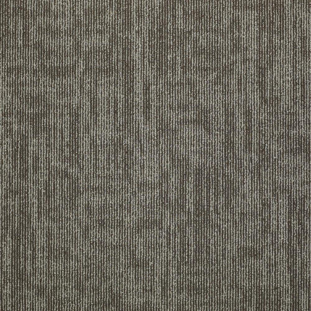 Shaw Graphix Brown Residential 24 in. x 24 Glue-Down Carpet Tile (12 Tiles/Case) 48 sq. ft.
