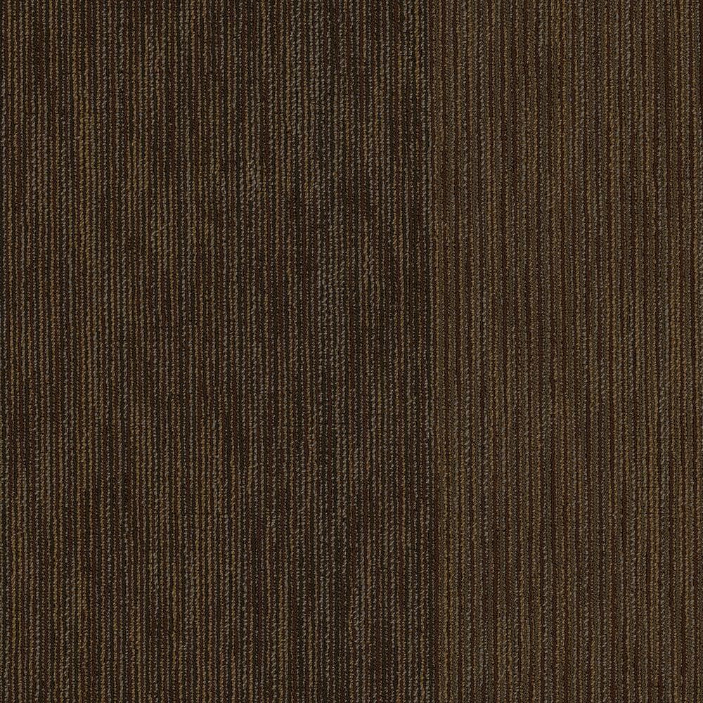 Shaw Fellowship Brown Commercial 24 in. x 24 Glue-Down Carpet Tile (20 Tiles/Case) 80 sq. ft.