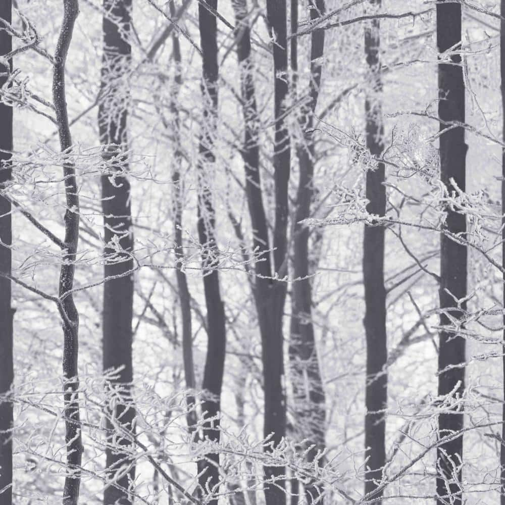 Arthouse Frosted Wood Silver Paper Strippable Wallpaper (Covers 57.26 sq. ft.)