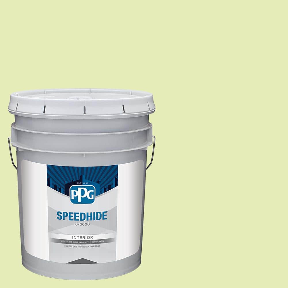 SPEEDHIDE 5 gal. PPG1220-3 Lots of Bubbles Ultra Flat Interior Paint