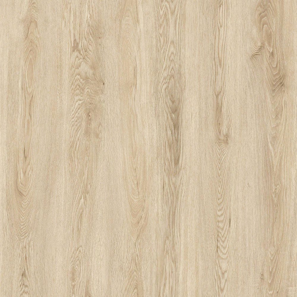 Lucida Surfaces GlueCore Cashmere 22 MIL x 7.3 in. W x 48 in. L Glue Down Waterproof Luxury Vinyl Plank Flooring (39 sqft/case)