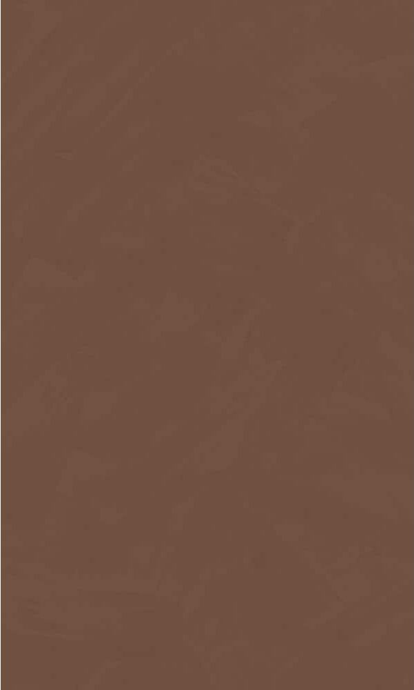 Walls Republic Walnut Brown Simple Plain Printed Non-Woven Non-Pasted Textured Wallpaper 57 sq. ft.