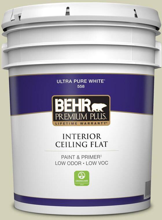 BEHR PREMIUM PLUS 5 gal. #S360-2 Breathe Ceiling Flat Interior Paint