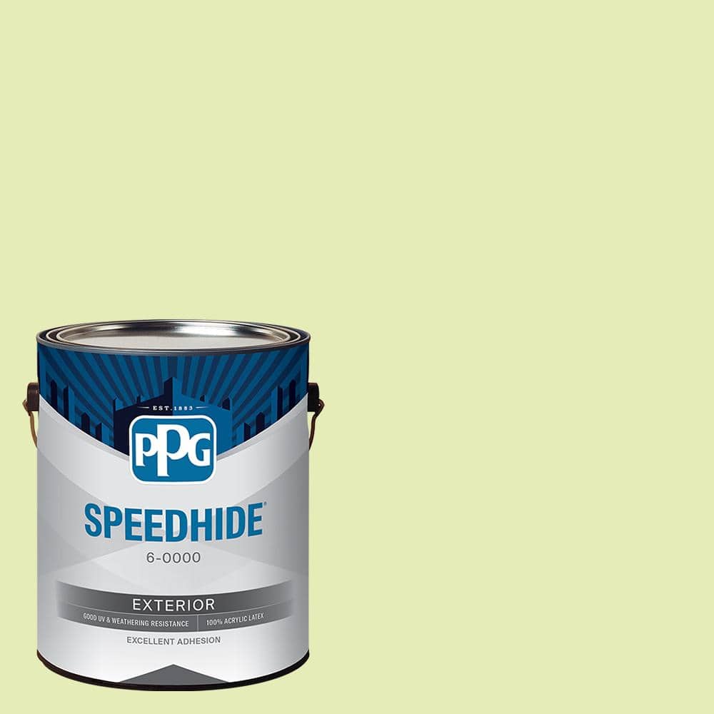 SPEEDHIDE 1 gal. PPG1220-3 Lots Of Bubbles Flat Exterior Paint