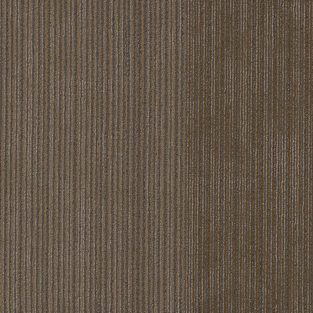 Shaw Freeform Brown Commercial 24 in. x 24 Glue-Down Carpet Tile (20 Tiles/Case) 80 sq. ft.