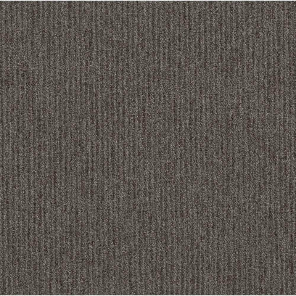 Shaw Hampton Gray Residential/Commercial 24 in. x 24 Glue-Down Carpet Tile (20 Tiles/Case) 80 sq. ft.