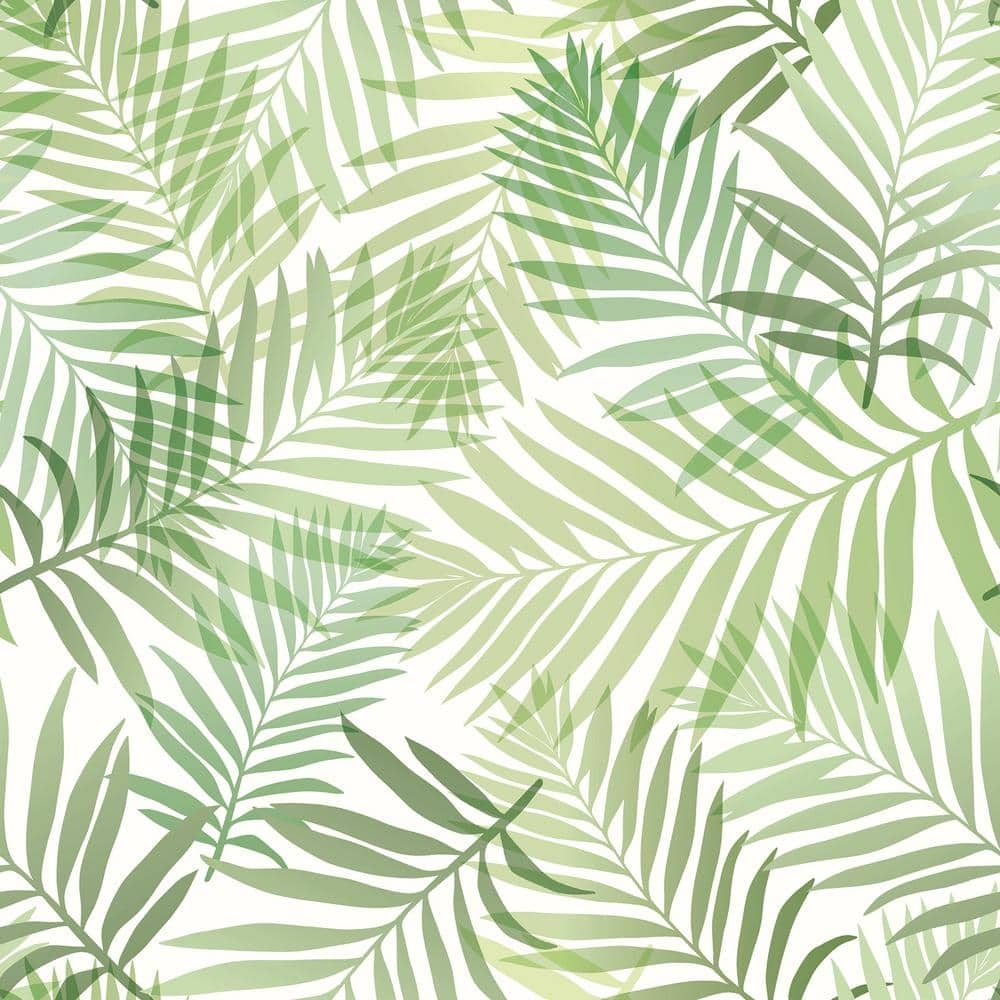 RoomMates Green Tropical Vibe Vinyl Peel and Stick Matte Wallpaper