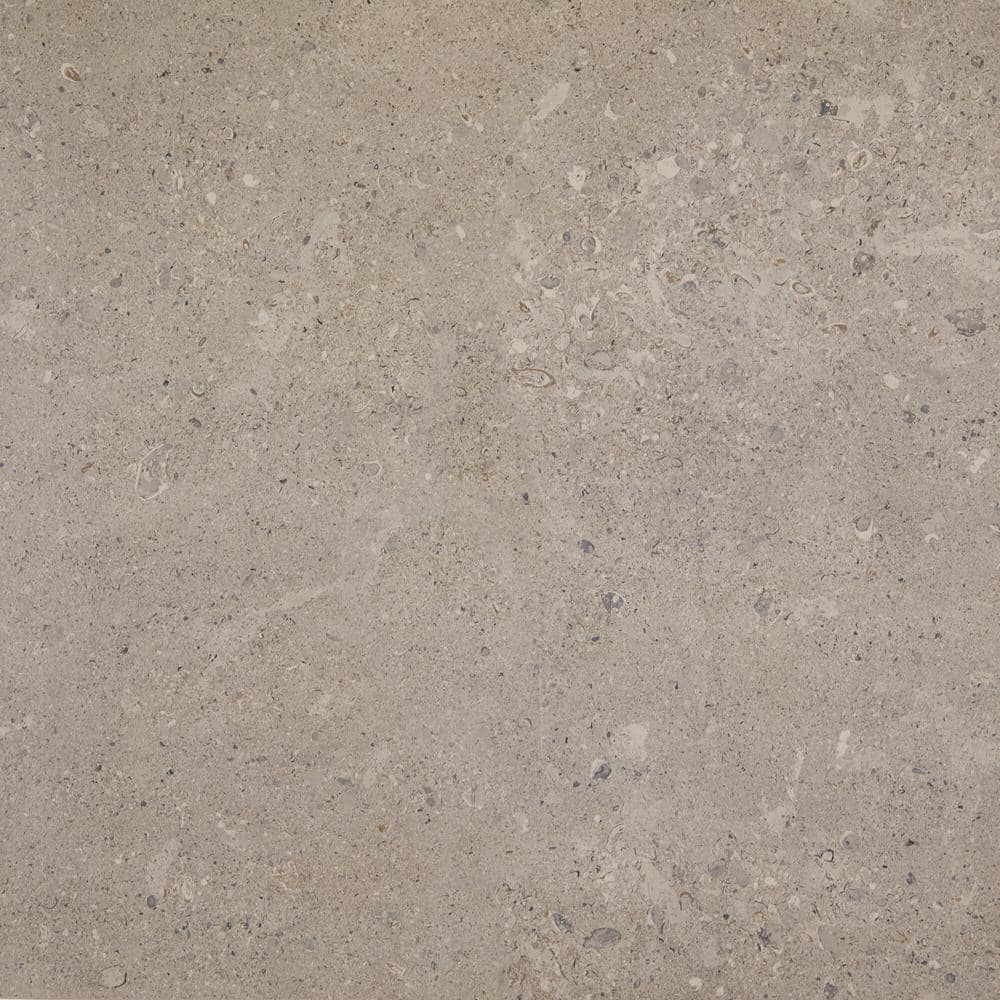 Daltile Dignitary Superior Taupe 24 in. x 24 in. Color Body Porcelain Paver Tile (7.6 sq. ft./case)