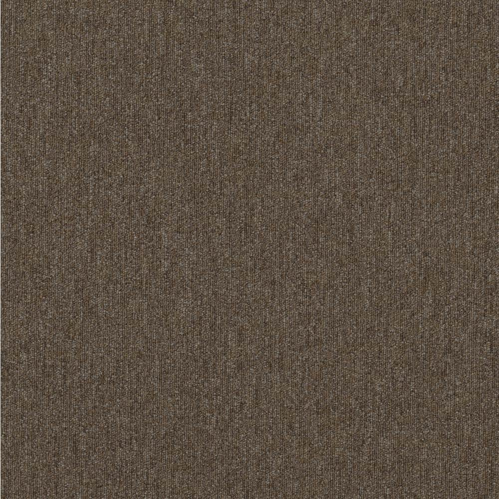 Shaw Hampton Brown Residential/Commercial 24 in. x 24 Glue-Down Carpet Tile (20 Tiles/Case) 80 sq. ft.