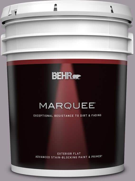 BEHR MARQUEE 5 gal. #N570-3 Art Nouveau Glass Flat Exterior Paint & Primer