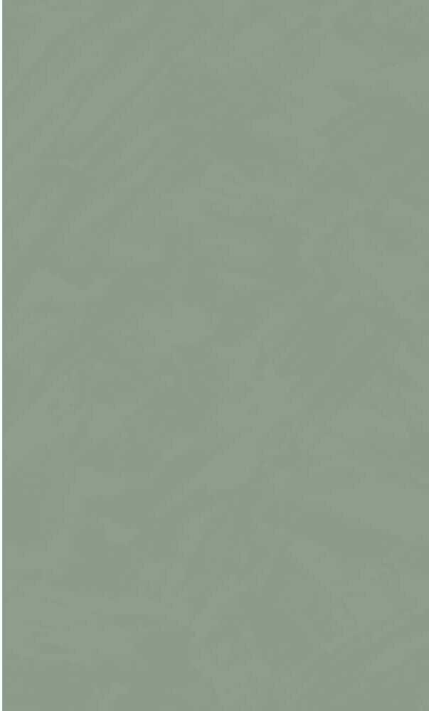 Walls Republic Sea Green Simple Plain Printed Non-Woven Non-Pasted Textured Wallpaper 57 sq. ft.