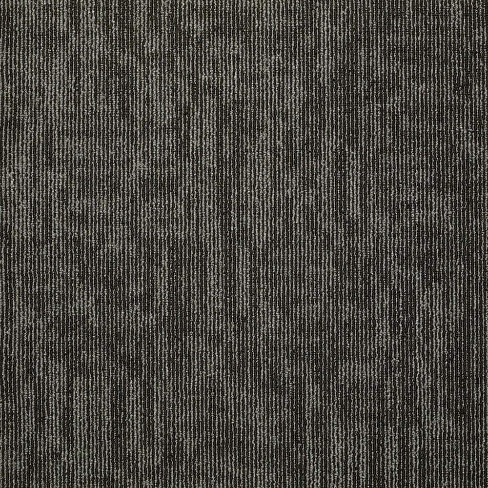 Shaw Graphix Gray Residential 24 in. x 24 Glue-Down Carpet Tile (12 Tiles/Case) 48 sq. ft.