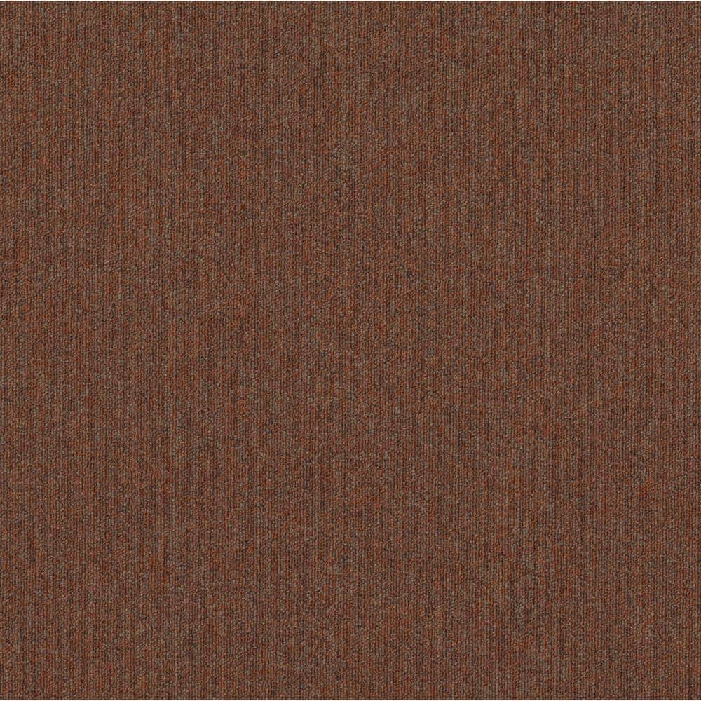 Shaw Hampton Brown Residential/Commercial 24 in. x 24 Glue-Down Carpet Tile (20 Tiles/Case) 80 sq. ft.