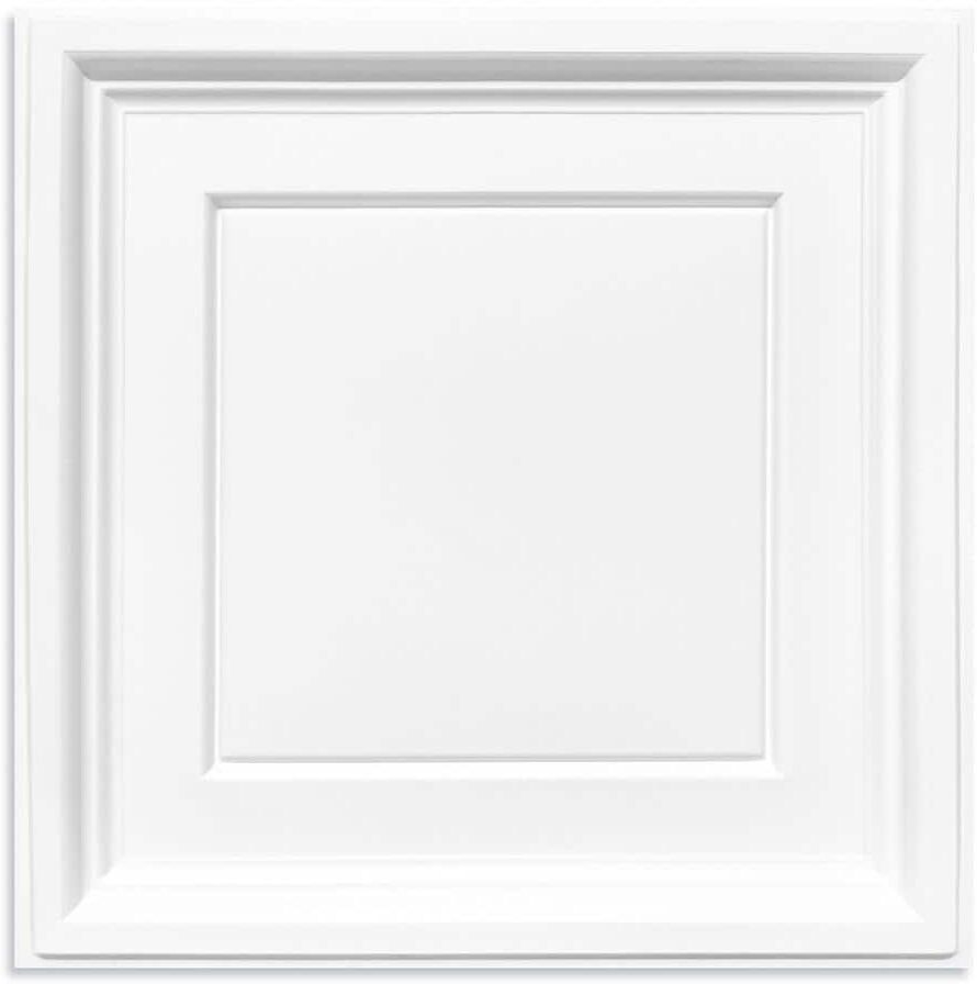 dubbin White PVC 2 ft. x 2 ft. Drop in Ceiling Tile (48 sq.ft./case)