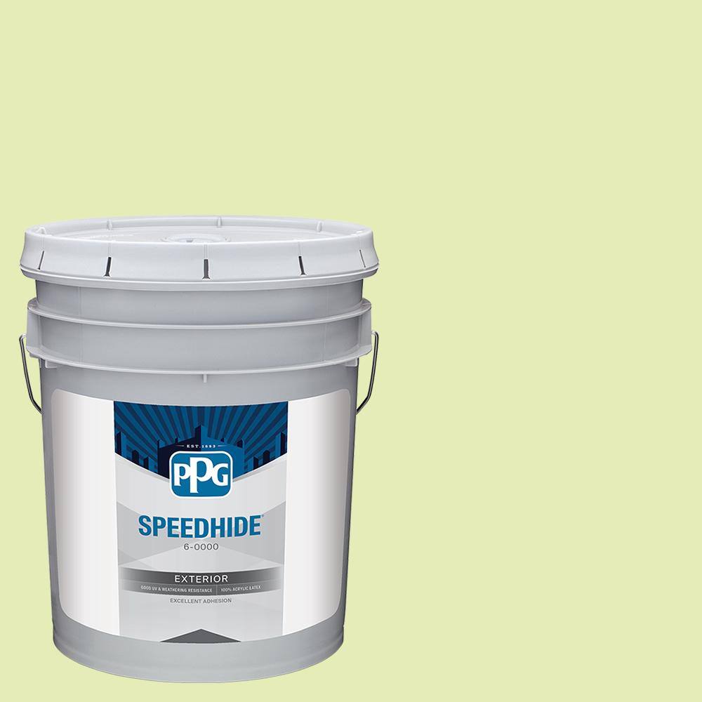 SPEEDHIDE 5 gal. PPG1220-3 Lots of Bubbles Flat Exterior Paint