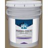 Perma-Crete Color Seal 5 gal. PPG1097-6 Rain Barrel Satin Interior/Exterior Concrete Stain