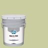 MULTI-PRO 5 Gal. In The Dale PPG11-10 Eggshell Interior Paint