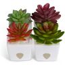 ZendoZones Fruit Fly Traps with Zendo Lure, with Plastic White Base, Refillable and Reusable (4-Pack)