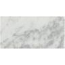 Daltile Patara Stone Carrara White Polished 12 in. x 24 in. Marble Floor and Wall Tile (10 sq. ft./Case)