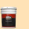 BEHR PREMIUM PLUS 5 gal. #CE-04 Peach of Mind Flat Exterior Paint & Primer