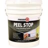 Zinsser 5-gal. Peel Stop Water Base Clear Interior/Exterior Binding Primer and Sealer