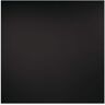 GENESIS 23.75in. x 23.75in. Smooth Pro Lay In Vinyl Black Ceiling Tile (Case of 12)