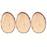 ArtSkills Project Craft DIY Natural Round Wood Slice with Raw Edges for Craft Painting and Decor (3-Pack)