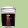 BEHR MARQUEE 5 gal. #P380-4 Four Leaf Clover Flat Exterior Paint & Primer