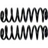 Coil Spring Set 1999-2005 Volkswagen Beetle 1.8L