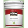 BEHR PREMIUM PLUS 5 gal. #440D-4 Desert Cactus Flat Low Odor Interior Paint & Primer