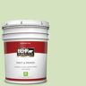 BEHR PREMIUM PLUS 5 gal. #P380-3 Irish Folklore Flat Low Odor Interior Paint & Primer